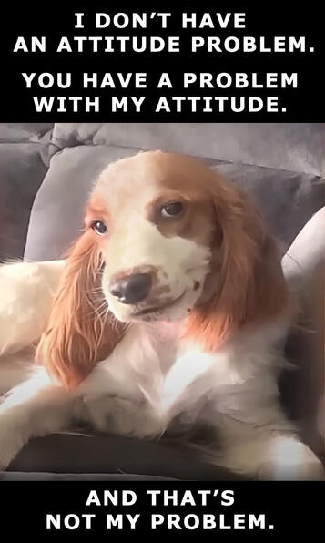 U have the attitude problem!